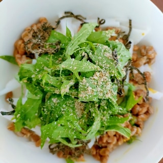 大根・水菜・豆腐のサラダ